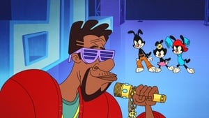 Animaniacs Gift Rapper