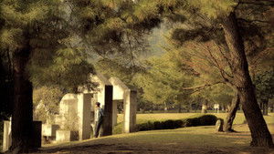 Dear A Pair of Sandalwoods,