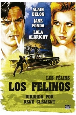 Poster Los felinos 1964