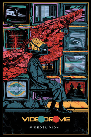 Videoblivion poster