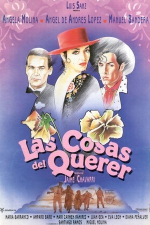 Poster Las cosas del querer 1989