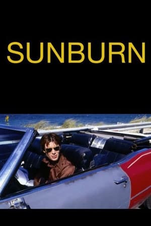 Sunburn film complet