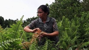 Mga Hutik kag Tinago