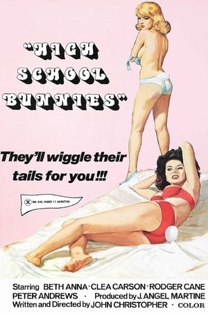 Poster High School Bunnies (1977)