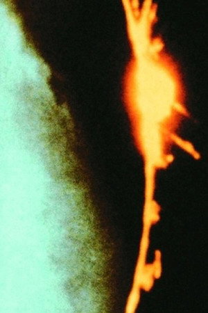 Постер фильма «Dog Star Man (1964)» — (11 из 26)