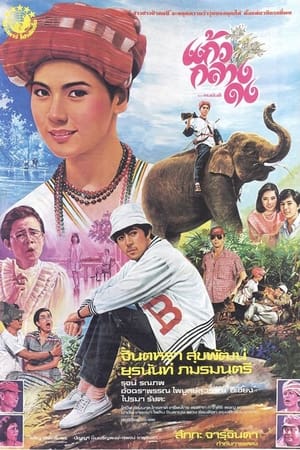 Poster Kaew Klang Dong 1985