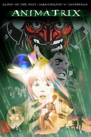 Poster Animátrix 2003
