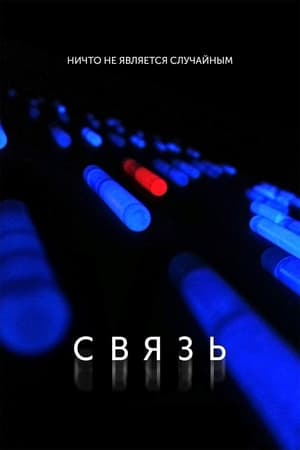 Связь 2013