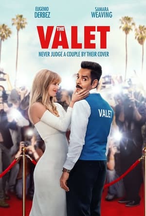 poster The Valet