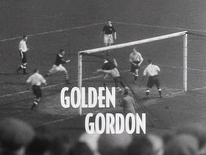 Ripping Yarns Golden Gordon