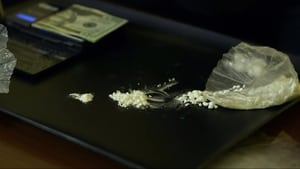 Drugs, Inc. Mardi Gras