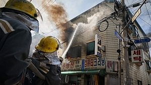 Firefighters ( 2024 )