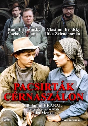 Poster Pacsirták cérnaszálon 1990