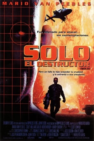 Poster Solo, el destructor 1996