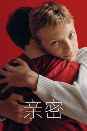 Image 亲密