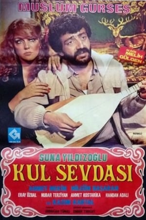 Kul Sevdası poster