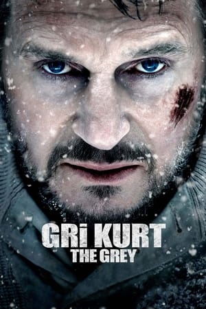 Image Gri Kurt