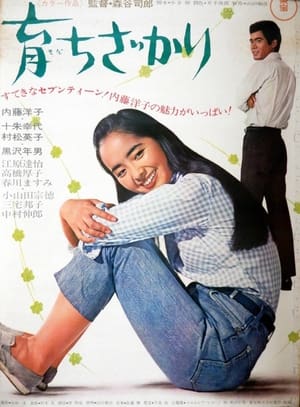 Poster Sodachi zakari (1967)