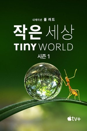 Image '작은 세상' - Tiny World