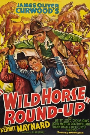 Poster Wild Horse Round-Up 1936
