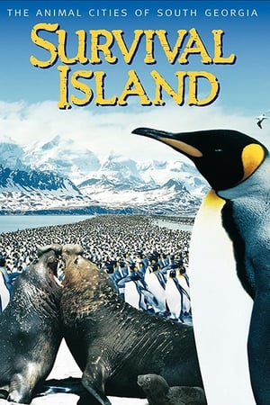 Poster Survival Island (1996)