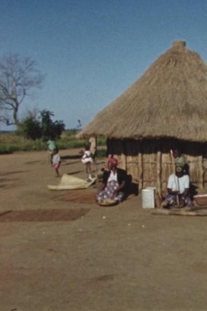 "Ronga Wedding" (Umbeluzi Theatre)