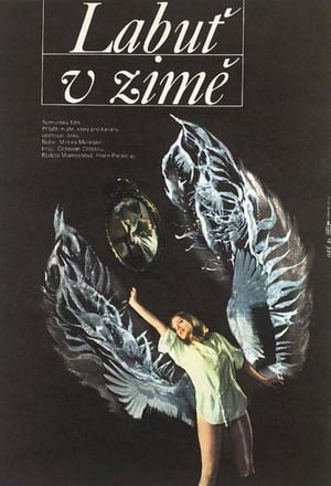 Poster A Swan in Winter (1983)