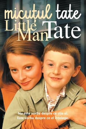 Poster Little Man Tate 1991