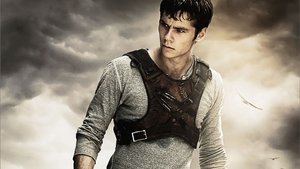 The Maze Runner