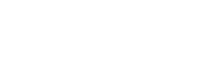 Anek — Logos 5