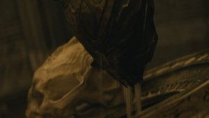 Images posters