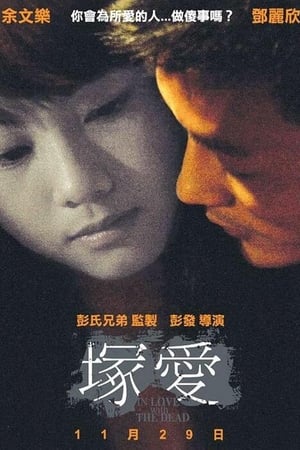 Poster 错爱 2007