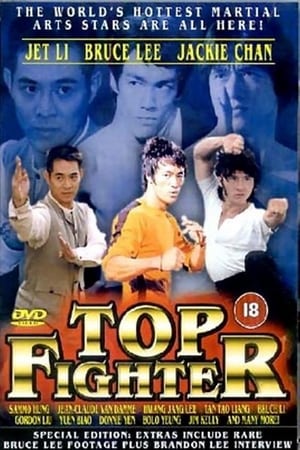 Poster Top Fighter 1 1995