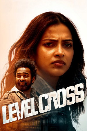 Level Cross 7