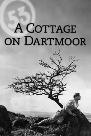 Poster A Cottage on Dartmoor 1929