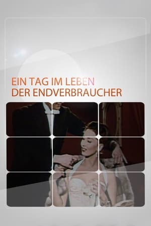 Poster Ein Tag im Leben der Endverbraucher 1993