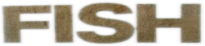 Fish — Logos 2