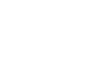 Promis unter Palmen – Die Late Night Show