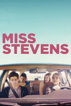 Poster Мисс Стивенс 2016