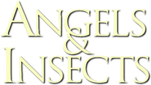 Angels and Insects