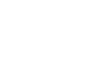 Harry Potter fête ses 20 ans : Retour à Poudlard