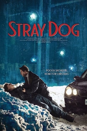 Poster Stray Dog 2017
