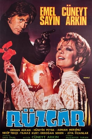 Poster Rüzgar (1980)