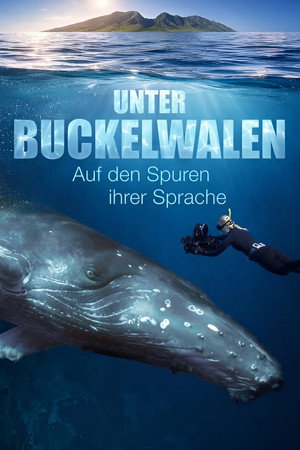 Among Humpback Whales