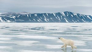 Svalbard
