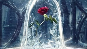 La Bella y la Bestia (2017) DVDRIP LATINO