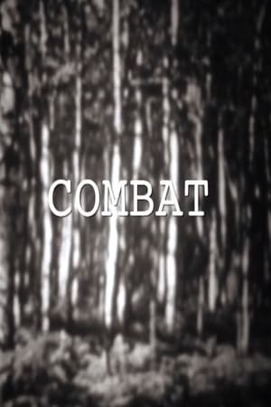 Combat poster