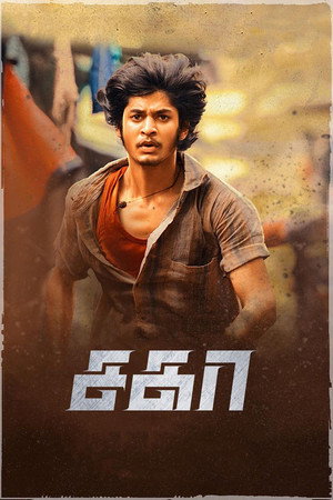 Sagaa 14
