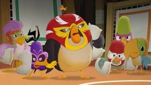 Angry Birds: Locuras de Verano Temporada 2 Capitulo 9