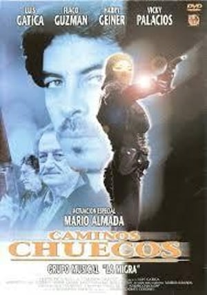 Poster Caminos chuecos (1999)